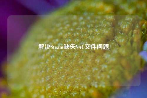 解决Steam缺失VAC文件问题