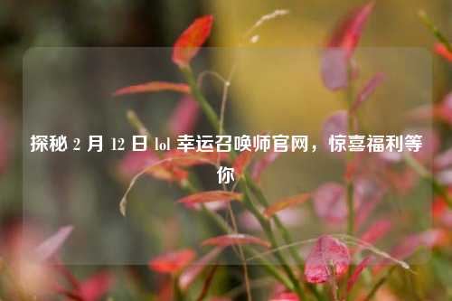 探秘 2 月 12 日 lol 幸运召唤师官网，惊喜福利等你