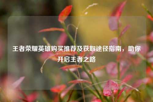 王者荣耀英雄购买推荐及获取途径指南,助你开启王者之路