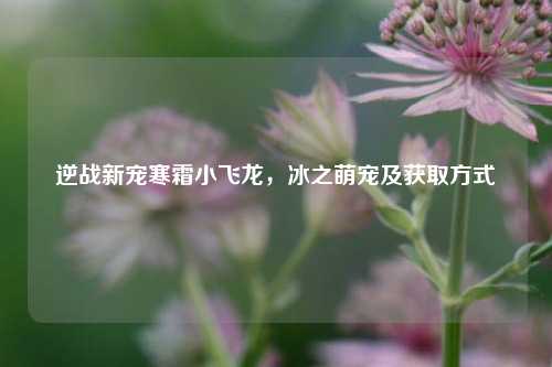 逆战新宠寒霜小飞龙,冰之萌宠及获取方式