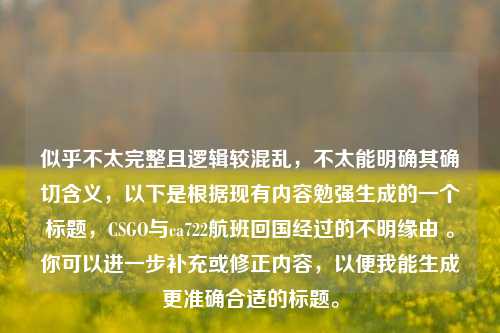 似乎不太完整且逻辑较混乱,不太能明确其确切含义,以下是根据现有内容勉强生成的一个标题,CSGO与ca722航班回国经过的不明缘由 。你可以进一步补充或修正内容,以便我能生成更准确合适的标题。