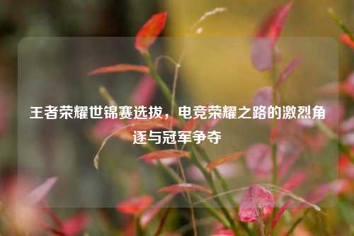 王者荣耀世锦赛选拔,电竞荣耀之路的激烈角逐与冠军争夺