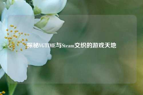 探秘VGTIME与Steam交织的游戏天地