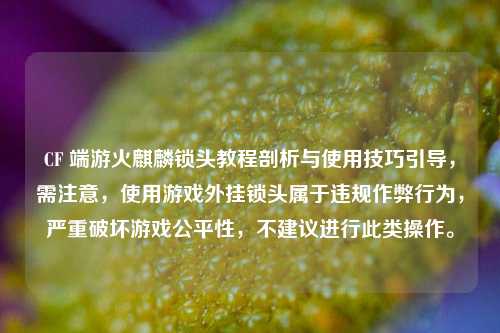 CF 端游火麒麟锁头教程剖析与使用技巧引导,需注意,使用游戏外挂锁头属于违规作弊行为,严重破坏游戏公平性,不建议进行此类操作。