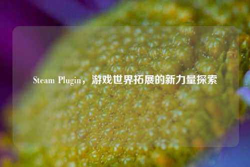 Steam Plugin,游戏世界拓展的新力量探索