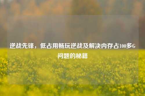 逆战先锋,低占用畅玩逆战及解决内存占100多G问题的秘籍