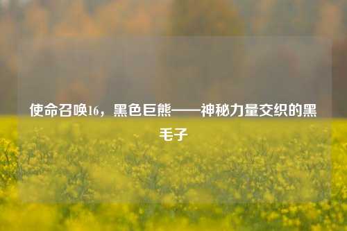 使命召唤16,黑色巨熊——神秘力量交织的黑毛子