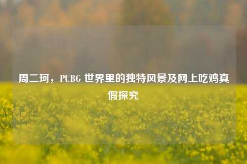 周二珂,PUBG 世界里的独特风景及网上吃鸡真假探究