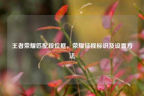 王者荣耀匹配段位框,荣耀征程标识及设置方法