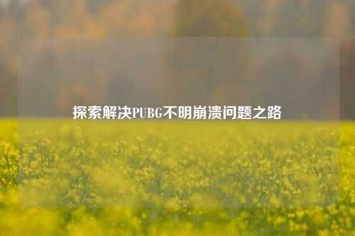 探索解决PUBG不明崩溃问题之路