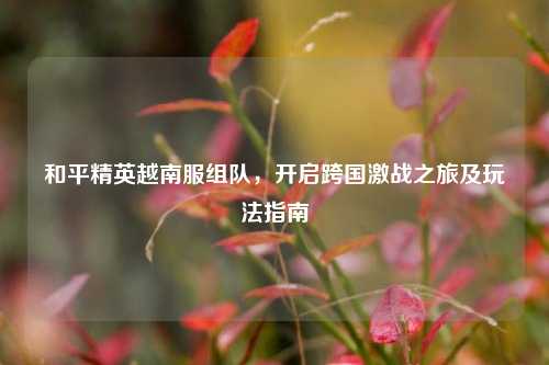 和平精英越南服组队，开启跨国激战之旅及玩法指南
