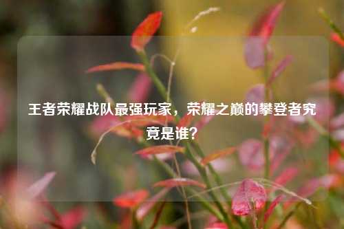 王者荣耀战队最强玩家,荣耀之巅的攀登者究竟是谁?