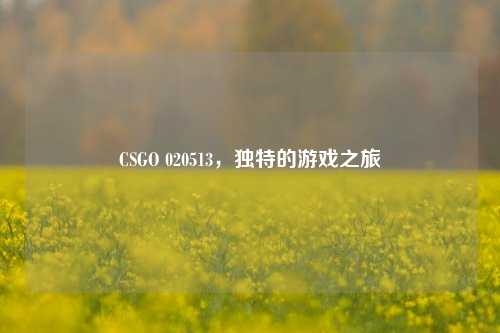 CSGO 020513,独特的游戏之旅