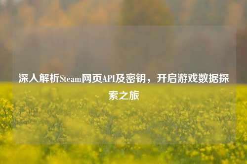 深入解析Steam网页API及密钥,开启游戏数据探索之旅