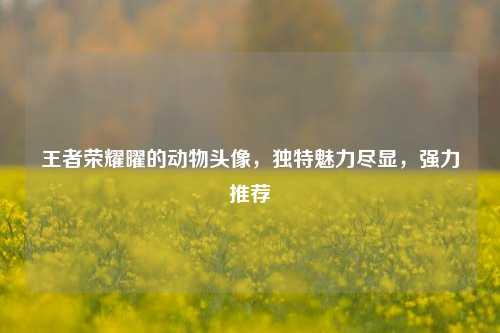 王者荣耀曜的动物头像,独特魅力尽显,强力推荐