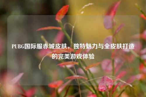 PUBG国际服赤城皮肤，独特魅力与全皮肤打造的完美游戏体验