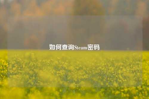 如何查询Steam密码
