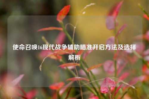 使命召唤16现代战争辅助瞄准开启方法及选择解析