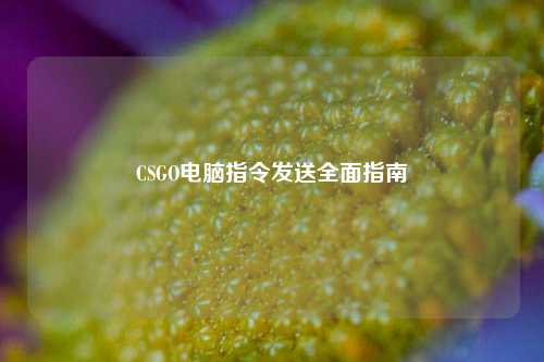 CSGO电脑指令发送全面指南