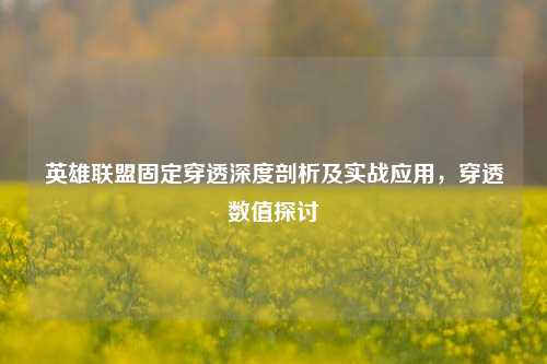 英雄联盟固定穿透深度剖析及实战应用,穿透数值探讨