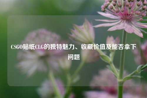 CSGO贴纸CLG的独特魅力、收藏价值及能否拿下问题