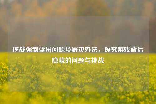 逆战强制蓝屏问题及解决办法,探究游戏背后隐藏的问题与挑战