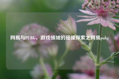 网易与PUBG，游戏领域的碰撞探索之网易pubg