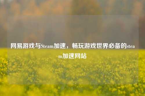 网易游戏与Steam加速,畅玩游戏世界必备的steam加速网站