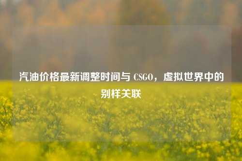 汽油价格最新调整时间与 CSGO，虚拟世界中的别样关联