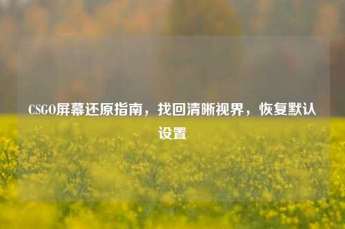 CSGO屏幕还原指南，找回清晰视界，恢复默认设置