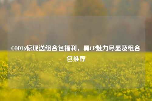 COD16惊现送组合包福利,黑CP魅力尽显及组合包推荐