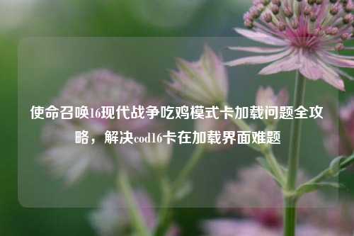 使命召唤16现代战争吃鸡模式卡加载问题全攻略,解决cod16卡在加载界面难题