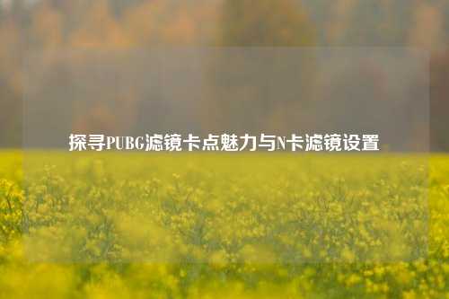 探寻PUBG滤镜卡点魅力与N卡滤镜设置