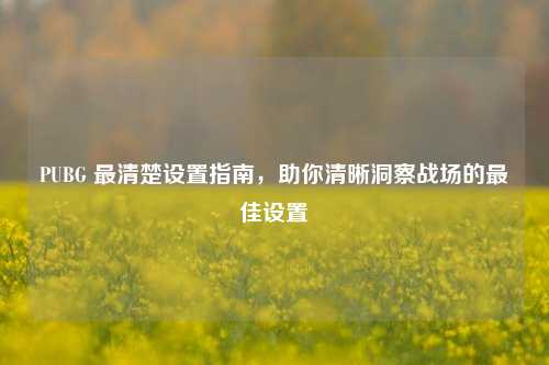 PUBG 最清楚设置指南,助你清晰洞察战场的最佳设置