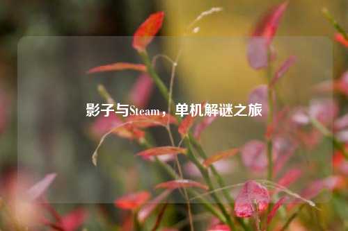 影子与Steam,单机解谜之旅