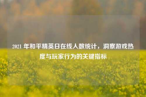 2021 年和平精英日在线人数统计,洞察游戏热度与玩家行为的关键指标