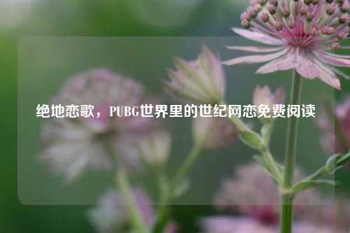 绝地恋歌,PUBG世界里的世纪网恋免费阅读