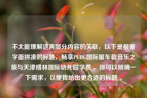 不太能理解这两部分内容的关联,以下是根据字面拼凑的标题,畅享PUBG国际服车载音乐之旅与天津格林国际幼儿园学费 ,你可以明确一下需求,以便我给出更合适的标题 。