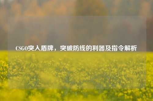 CSGO突入盾牌,突破防线的利器及指令解析
