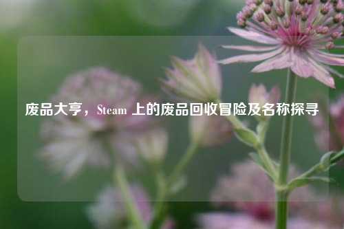 废品大亨,Steam 上的废品回收冒险及名称探寻
