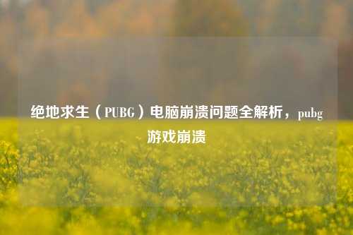 绝地求生(PUBG)电脑崩溃问题全解析,pubg游戏崩溃