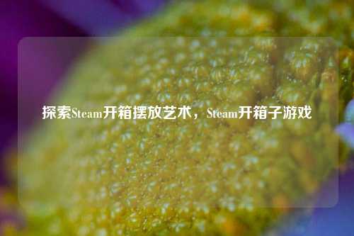 探索Steam开箱摆放艺术,Steam开箱子游戏