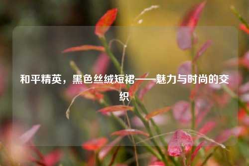 和平精英,黑色丝绒短裙——魅力与时尚的交织