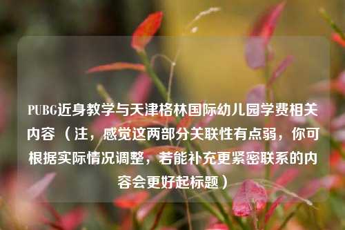 PUBG近身教学与天津格林国际幼儿园学费相关内容 （注，感觉这两部分关联性有点弱，你可根据实际情况调整，若能补充更紧密联系的内容会更好起标题）