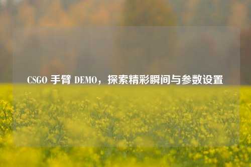 CSGO 手臂 DEMO,探索精彩瞬间与参数设置