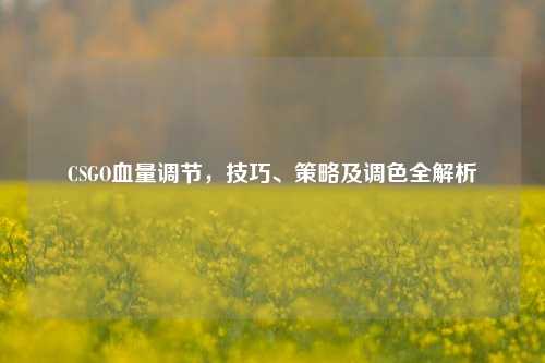 CSGO血量调节,技巧、策略及调色全解析