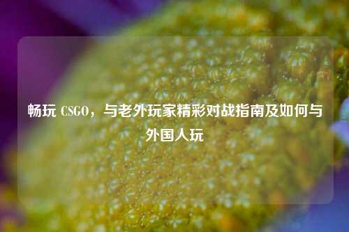 畅玩 CSGO，与老外玩家精彩对战指南及如何与外国人玩