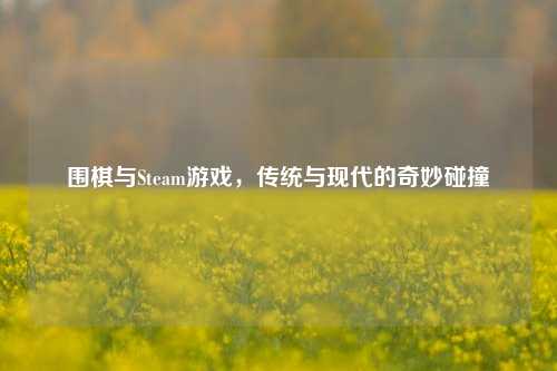 围棋与Steam游戏，传统与现代的奇妙碰撞