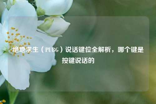 绝地求生(PUBG)说话键位全解析,哪个键是按键说话的