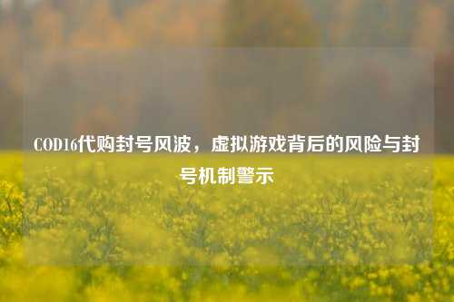 COD16代购封号风波,虚拟游戏背后的风险与封号机制警示